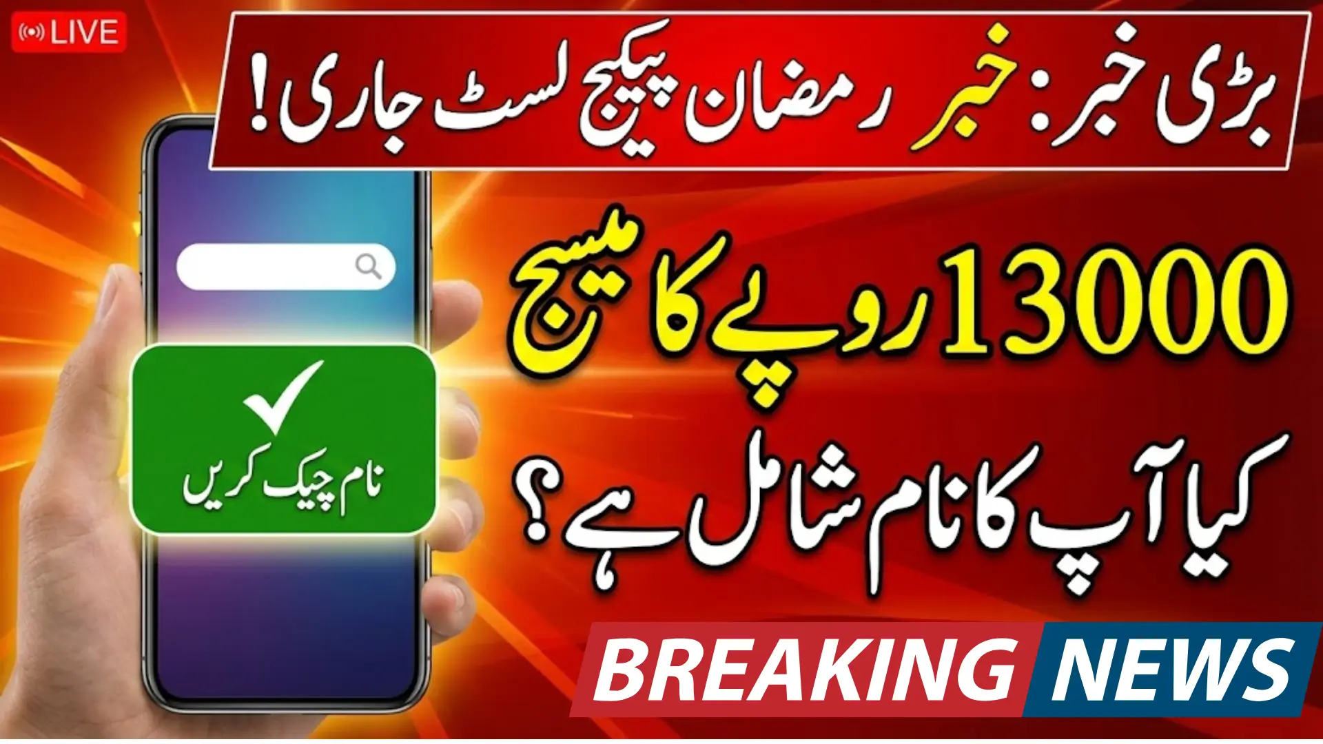 PM 9999 Ramzan Package 13000 Payment Eligibility Check Via Pmrrp.nitb.gov.pk